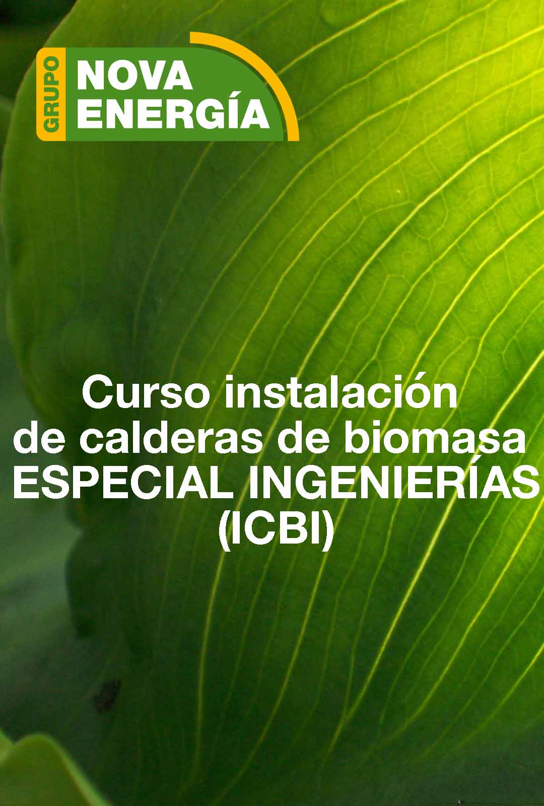 INSTALACIN CALDERAS DE BIOMASA - ESPECIAL ENGENIERAS