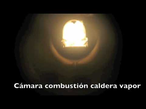 BioCalora EUROFIRE 500 kW