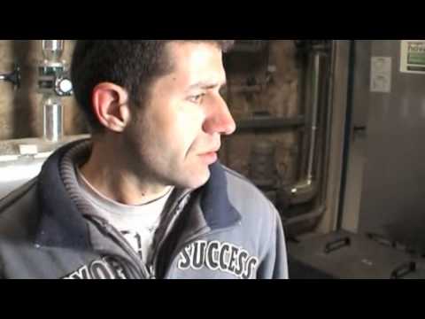 District Heating con biomasa. ...